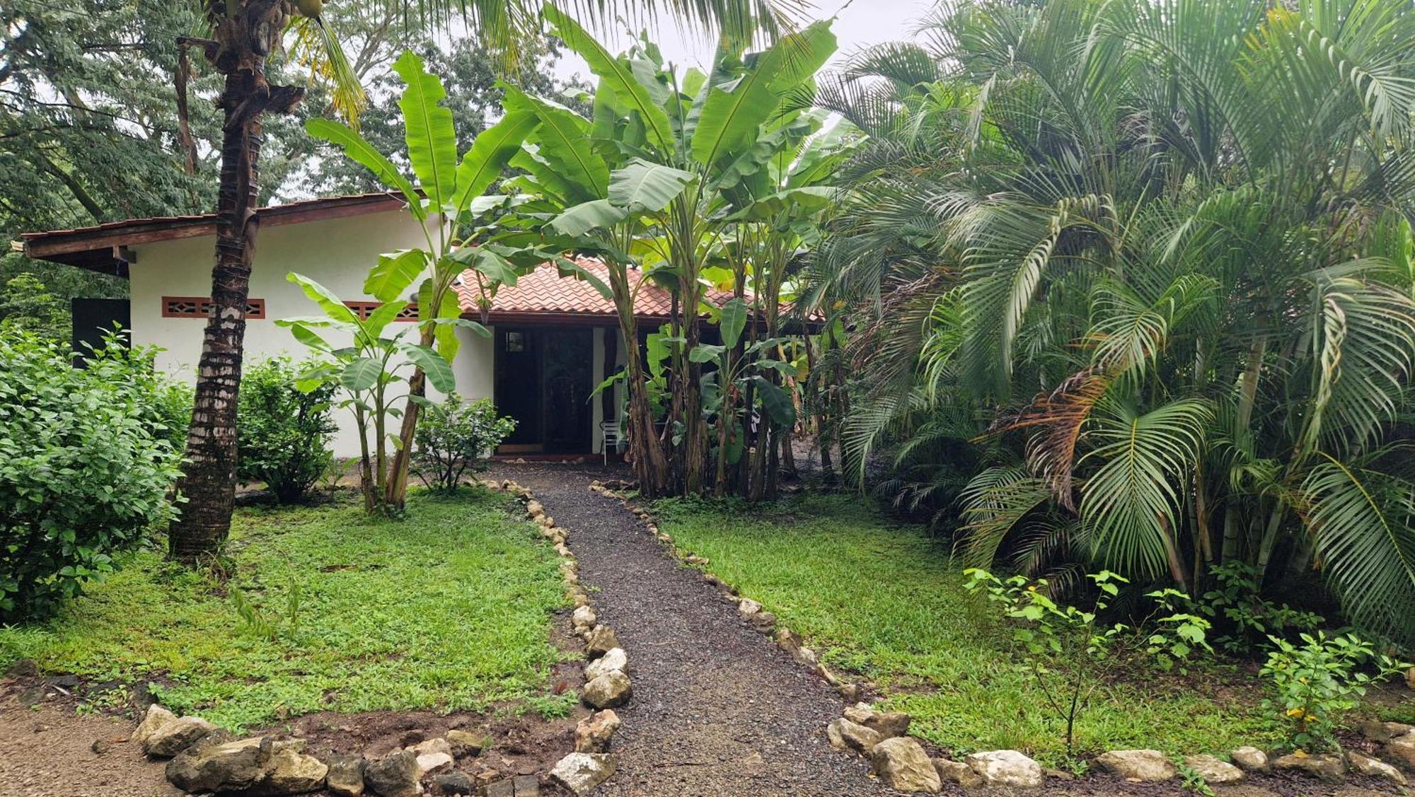 Villas Jungle 5 Sámara エクステリア 写真